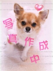 新世紀 2/14体験入店(18)