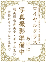 ロイヤルヴィトン あげは(24)