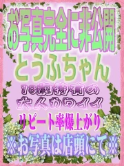 とうふ(21)