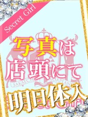 アラカルト Alacarte セレネ(25)