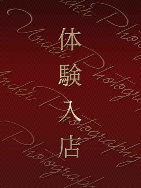体験新人