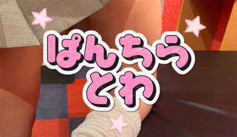 ぱんちら　とわ